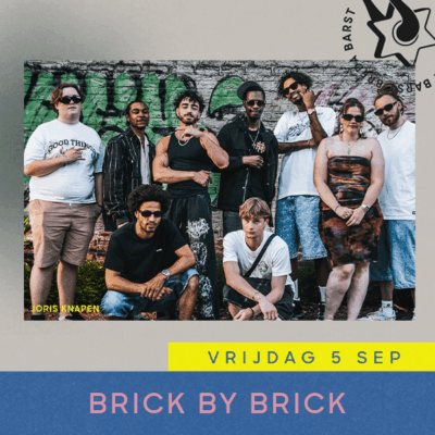 Breda Barst | Brick By Brick