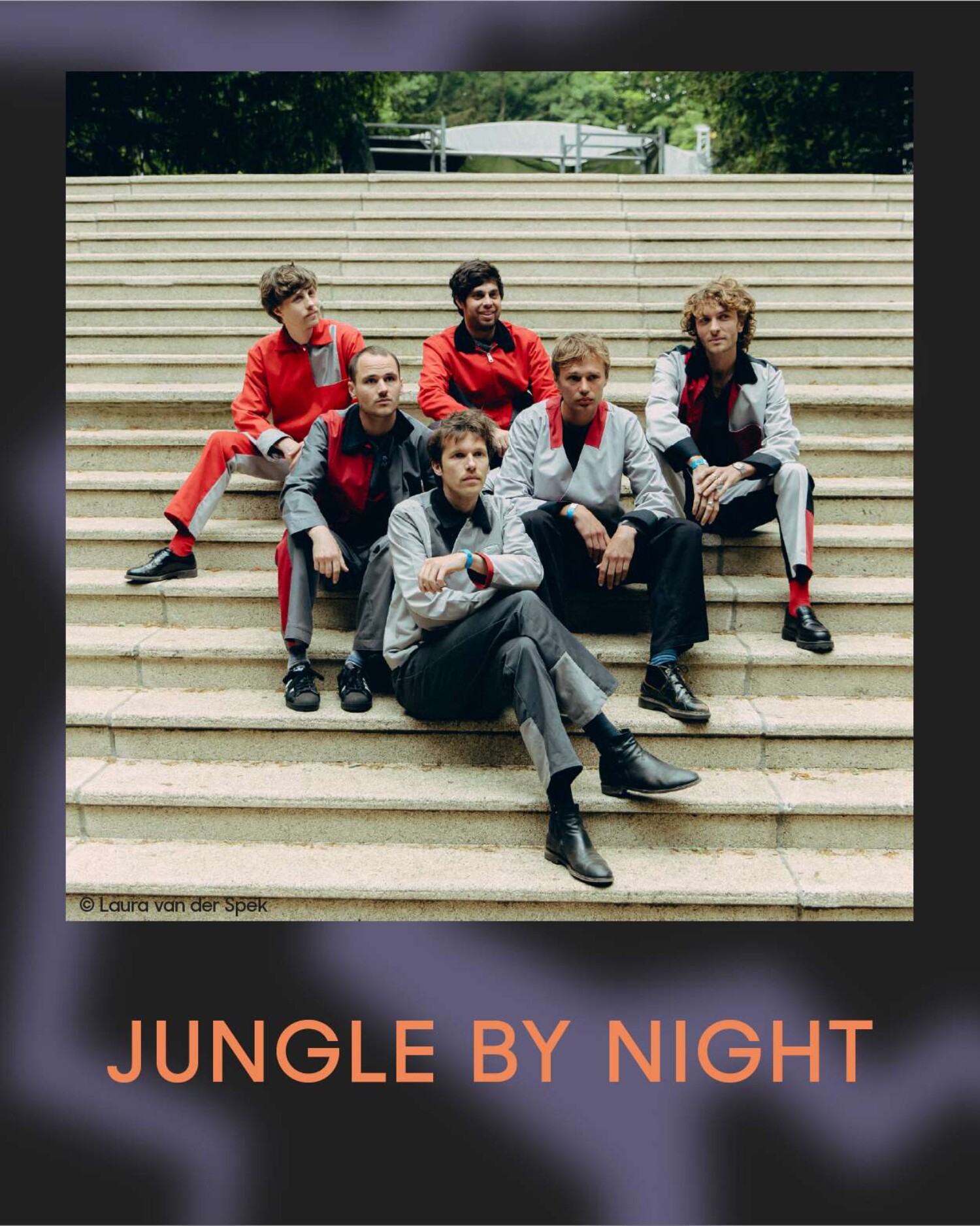 Jungle by Night